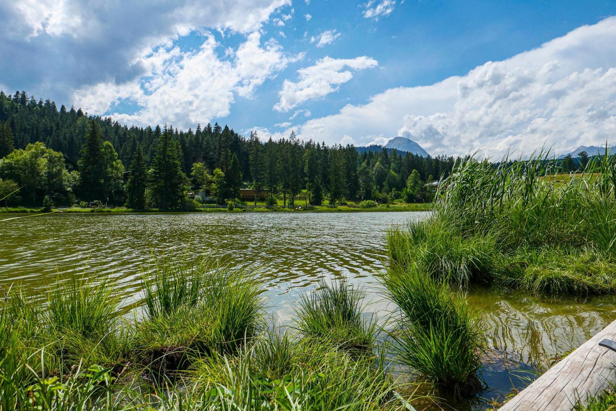 Landhaus Haid Seefeld in Tirol Buitenkant foto